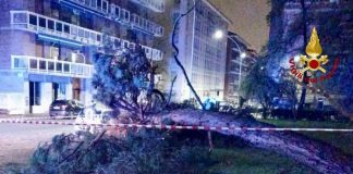 Maltempo nel biellese, alberi caduti e allagamenti