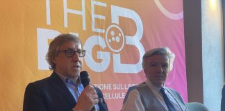 Cairoli (Niguarda), ‘linfoma a grandi cellule B tra quelli rari è frequente’
