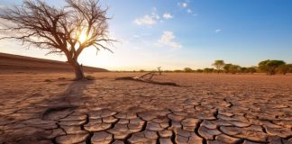 Clima, 19 aprile Sciopero Globale in tutta Italia