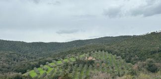 Sostenibilità, Borgo di Perolla: laboratorio naturale per gli agronomi di domani