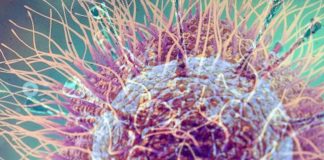 Covid e studio shock su origine in laboratorio: cosa dicono gli esperti