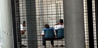 Già rimpatriato e con gravi precedenti, torna a Mantova: arrestato e di nuovo espulso