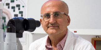 Regionali Basilicata, Domenico Lacerenza candidato governatore del centrosinistra