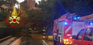 Maltempo in Liguria, cadono alberi e massi sull’Aurelia: strada chiusa in due tratti