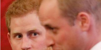 Harry e William all’evento per Lady D, ma i fratelli saranno distanti