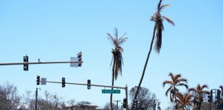 Hawaii fuori dal Trattato Nato, che succede se le attaccano?