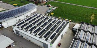 Fiera Millenaria sempre più green con il nuovo impianto fotovoltaico sul padiglione1