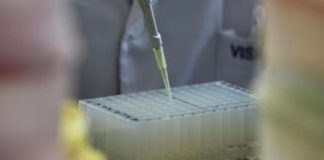 Epatiti A,B, C ed E: quale è in crescita e quale no, i dati