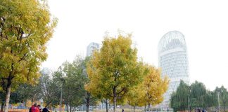Smog fa male anche alle ossa, con più verde meno osteoporosi