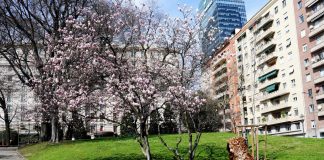 In arrivo un assaggio di primavera, le previsioni meteo di oggi e domani