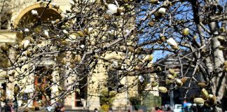 Scoppia la primavera, arrivano sole e temperature oltre i 20°: meteo oggi e domani