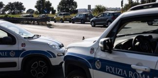 Roma, pino cade su Cristoforo Colombo e colpisce due auto: un ferito