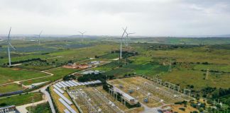 Terna, in 2028 previsti ricavi in crescita a 4,60 mld: in 2024 crescita dividendo 4% annua