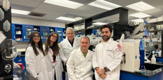 Tumori, una proteina alterata li fa crescere: sarà bersaglio per nuove cure