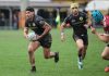Rugby A Elite – Viadana stende il Valorugby con un grande secondo tempo: 29-18