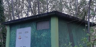 Nuove decorazioni per le cabine elettriche di Suzzara e domani tour alla scoperta della street art