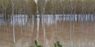 La piena del Po transita per il Mantovano: allerta gialla nelle prossime 36 ore
