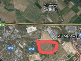 Nestlè sceglie Mantova per la sua nuova fabbrica di pet food: investimento da 472 mln di euro e 300 posti di lavoro