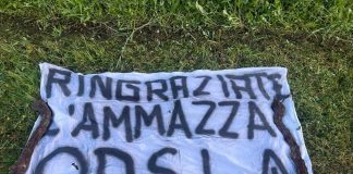 “Ringraziate l’ammazza orsi”, danni per 60mila euro alla vigna dei familiari di Fugatti