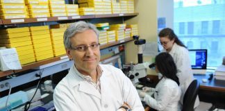 Scienziato italiano negli Usa: “Aiuti fiscali per far tornare i medici? Serve molto di più”