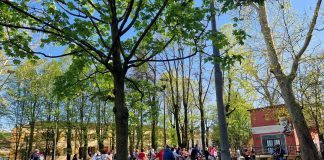 Suzzara, successo per il bici tour alla scoperta delle opere di street art