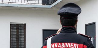 Padova, 83enne aggredita dai suoi 5 cani: le amputano le braccia