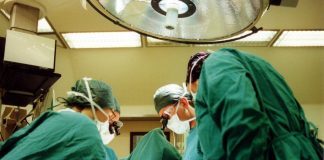 Gesualdo (UniBa): “E’ ora di cambiare legge su xenotrapianti in Italia”