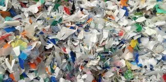 Microplastiche anche nei follicoli, minaccia per la fertilità femminile