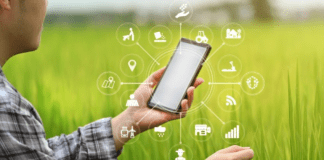 Confai Mantova punta su digitalizzazione e sostenibilità per la crescita dell’agricoltura