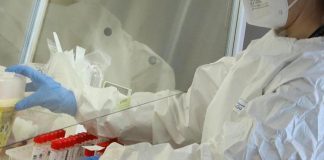 Primo caso umano di virus B trasmesso dalle scimmie