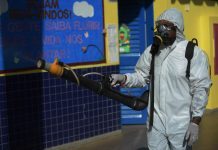 Caso di Dengue a Borgo Virgilio, scatta la disinfestazione a Cerese