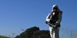 Dimessa la giovane affetta da Dengue. A Borgochiesanuova fatta la disinfestazione, da terminare il trattamento larvicida