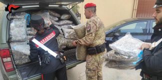 Reggio Calabria, maxi sequestro di cannabis: un arresto