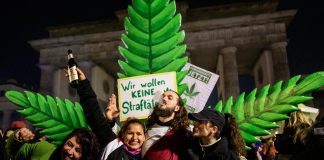 Germania legalizza ‘parzialmente’ la cannabis: cosa si potrà fare