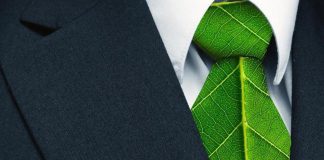 Sostenibilità, Chiattelli (Ey): “Domanda per lavori green aumenterà sempre più”