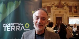 Prospettiva Terra, Mancuso: “Alberi strumento risolutivo per cambiamento climatico”