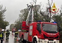 Castelbelforte, alberi caduti sulla provinciale: Vigili del Fuoco in azione