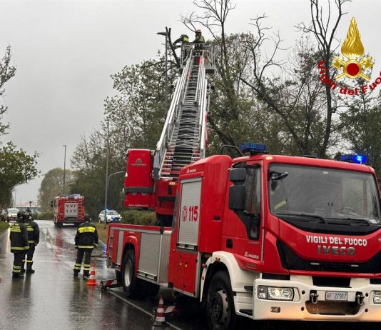 Castelbelforte, alberi caduti sulla provinciale: Vigili del Fuoco in azione