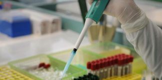 Cancro pancreas, nuove speranze di cura da terapia combinata
