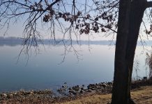 Lago Inferiore, Mantova candida il progetto da 345mila euro per riqualificare le sponde