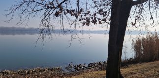 Sabato c’è “Incanto sul lago”: trekking naturalistico sul lago di Mezzo