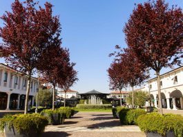 Chiede all’operatore ecologico di identificarsi, lui lo aggredisce: guardia giurata dell’outlet finisce all’ospedale