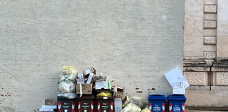 Tonelli (Lega): “Palazzo Te usato come vetrina per l’esposizione di rifiuti”