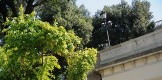 Roma, ragazza cade da terrazza del Pincio: volo di 5 metri