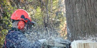 Coldiretti Mantova, dal 2023 formati 470 dipendenti su salute e sicurezza