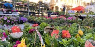 “Suzzara Verde”: piante, fiori, benessere, divertimento e gastronomia