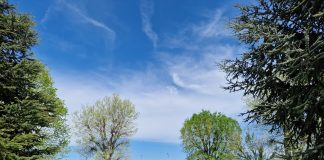 Villimpenta, inaugurato il primo Parco Giochi Inclusivo in frazione Pradello