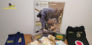 Maxi operazione anti droga in Trentino, 38 misure cautelari