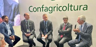 Filiera del pomodoro da industria, il nuovo progetto di Mediterranea