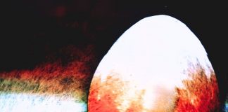 “Il labirinto delle metamorfosi”: domenica e lunedì appuntamento con danza e teatro a Palazzo Te